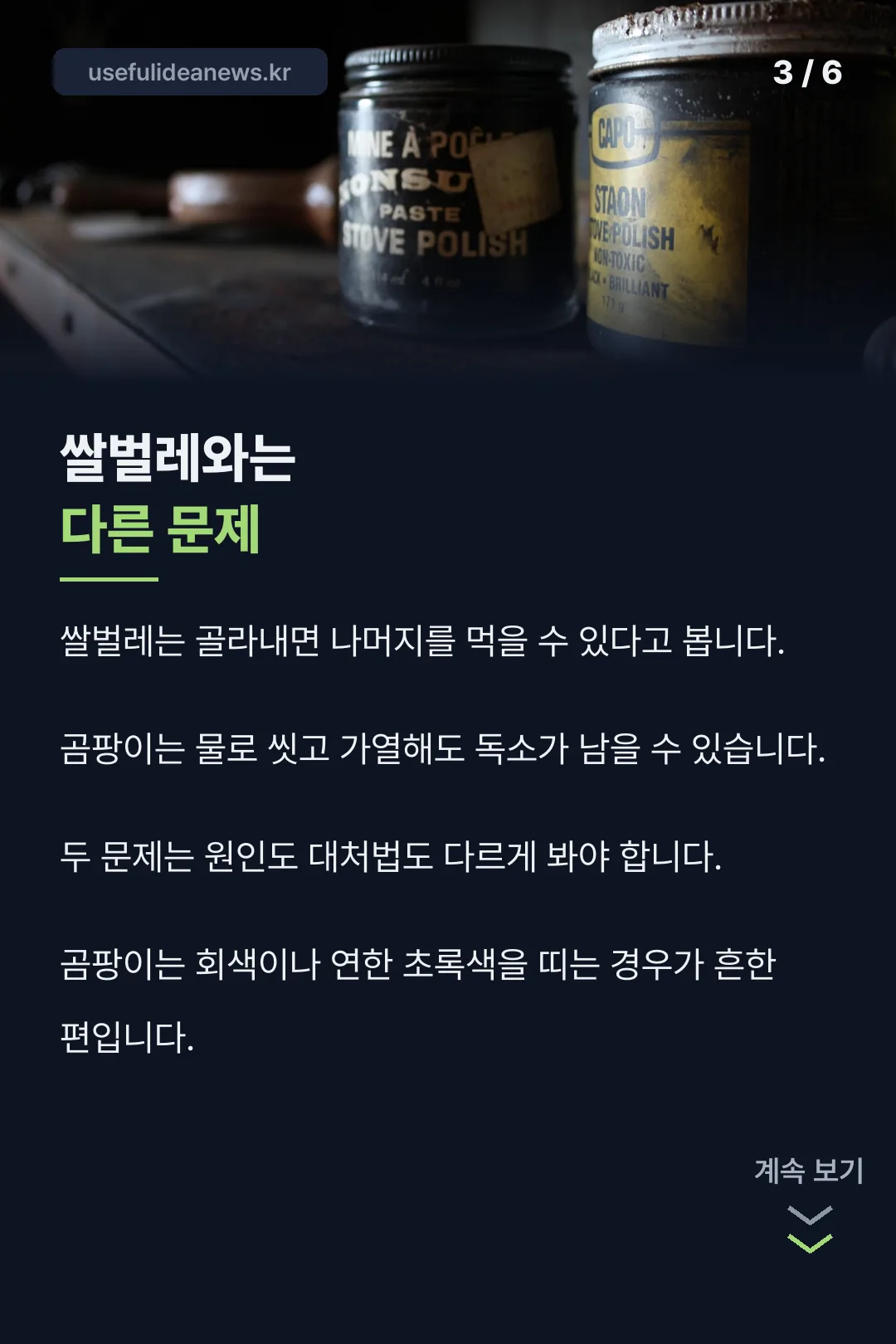 쌀벌레와 차이