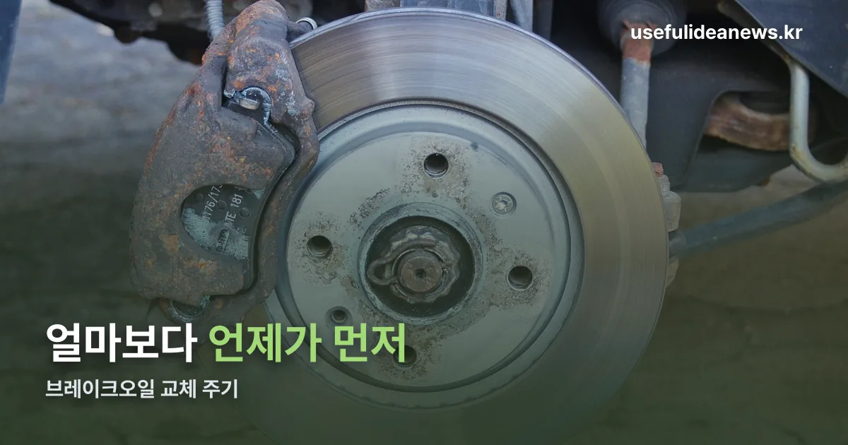 공임나라 브레이크오일 교체 정리 썸네일