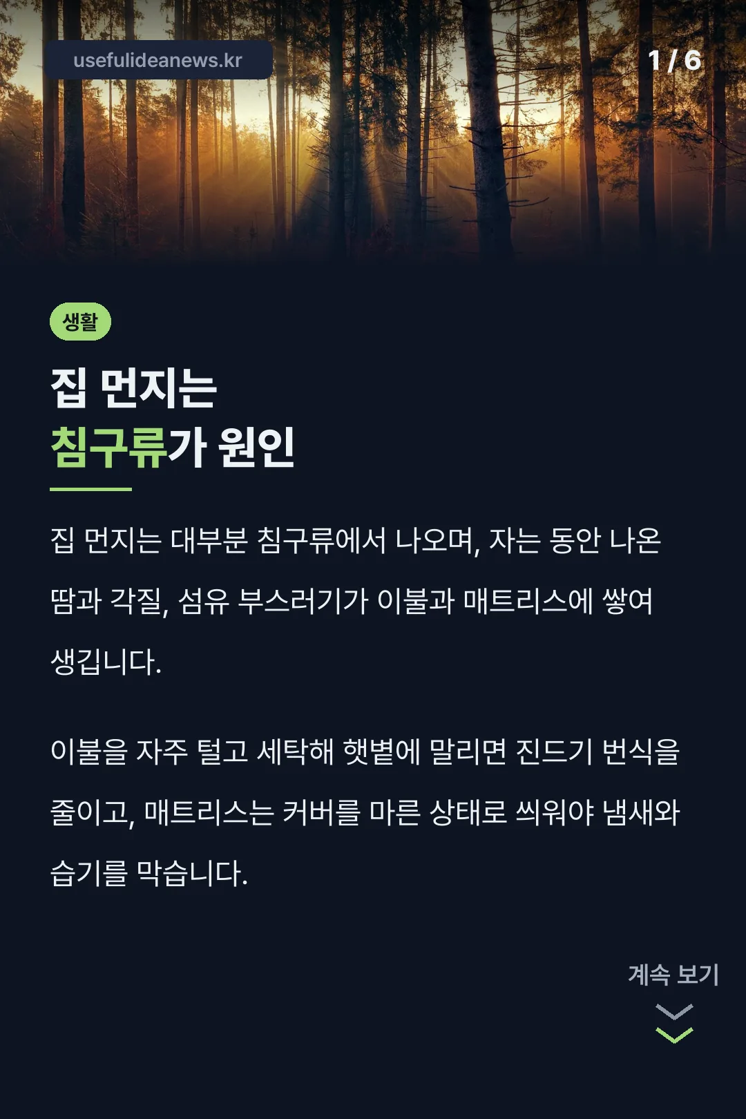 집 먼지는 침구류가 원인