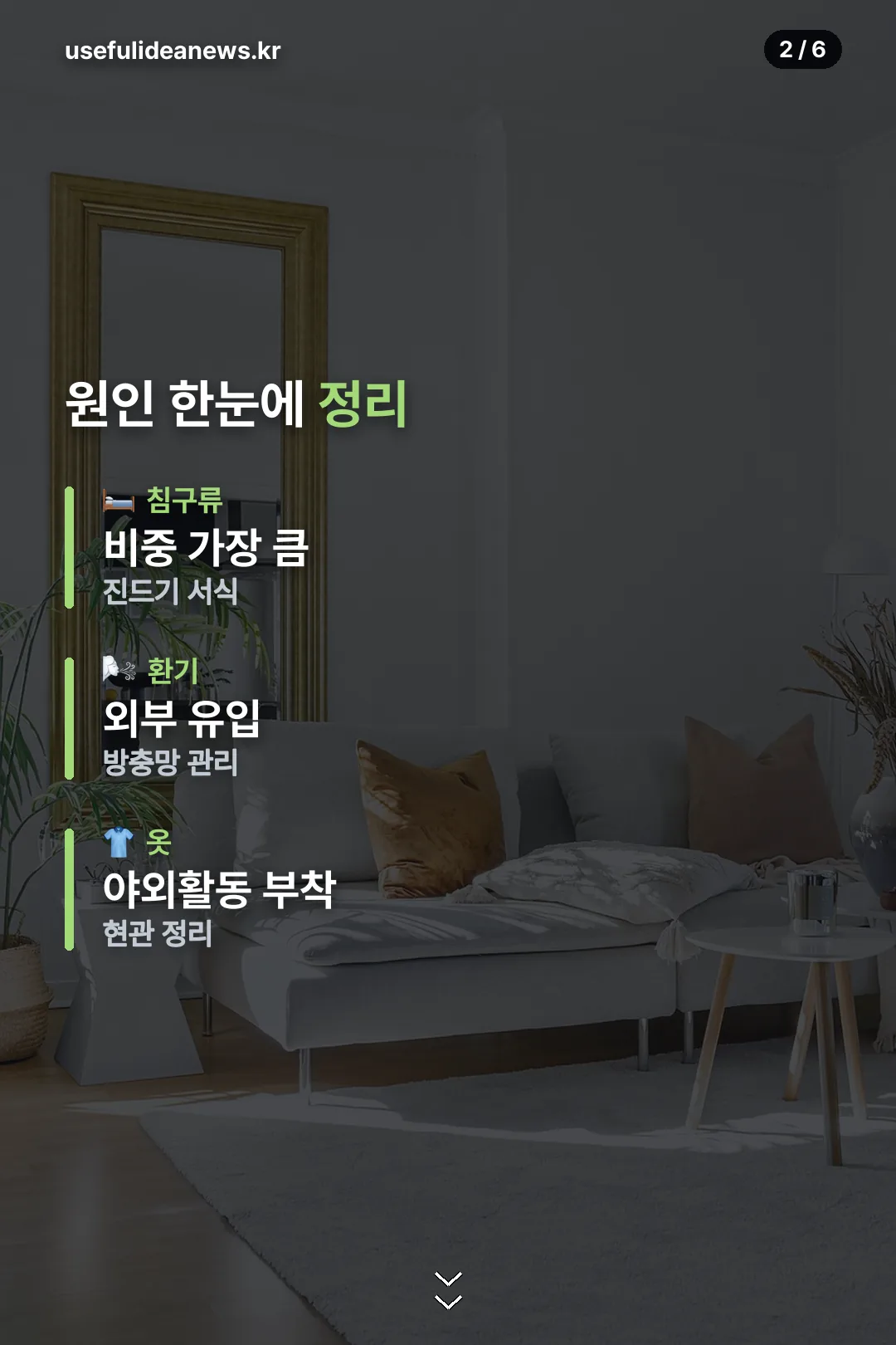 원인 한눈에 정리