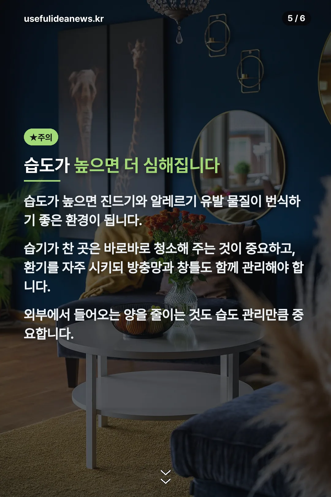 습도 관리 주의사항