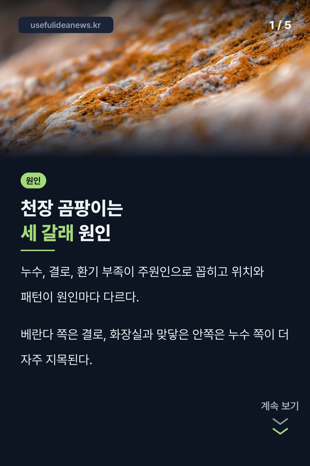 천장 곰팡이 원인 세 갈래