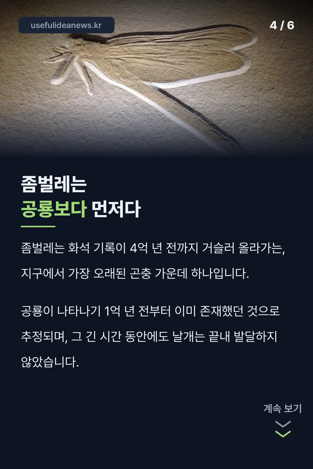 공룡보다 오래된 역사