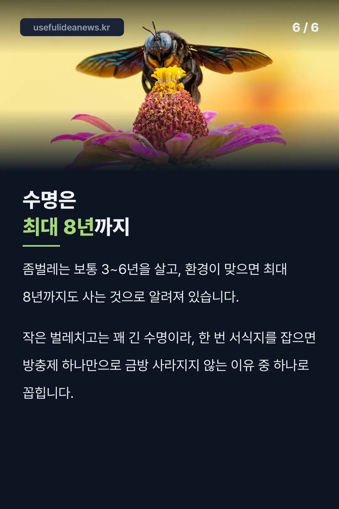 최대 8년 수명