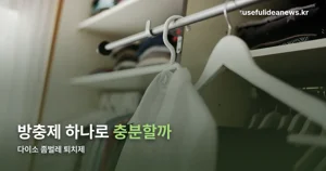 다이소 좀벌레 퇴치제, 효과와 한계 — 번식 진행 시 대처법
