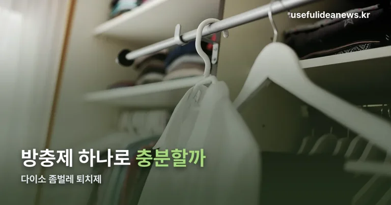 다이소 좀벌레 정리 썸네일