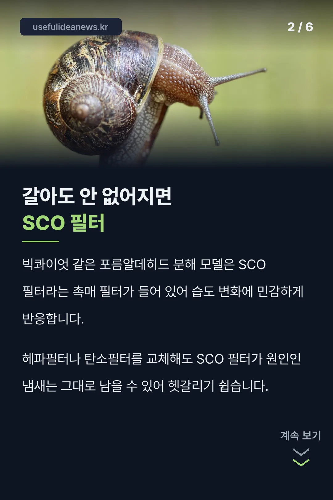 SCO 필터라는 숨은 원인