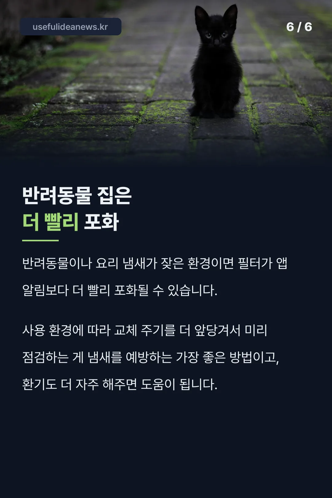 반려동물 환경 영향