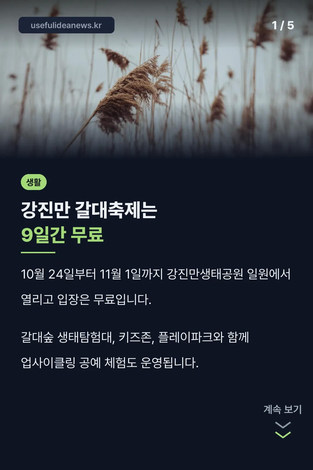 강진만갈대축제 핵심 정리